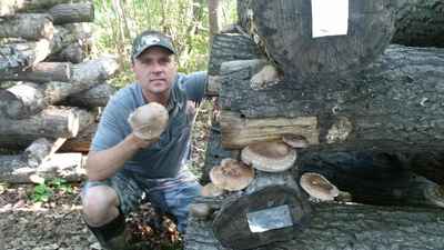 Carl_mushrooms